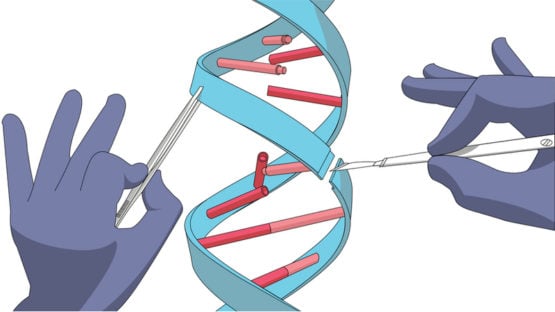 DNA double Helix being repaired