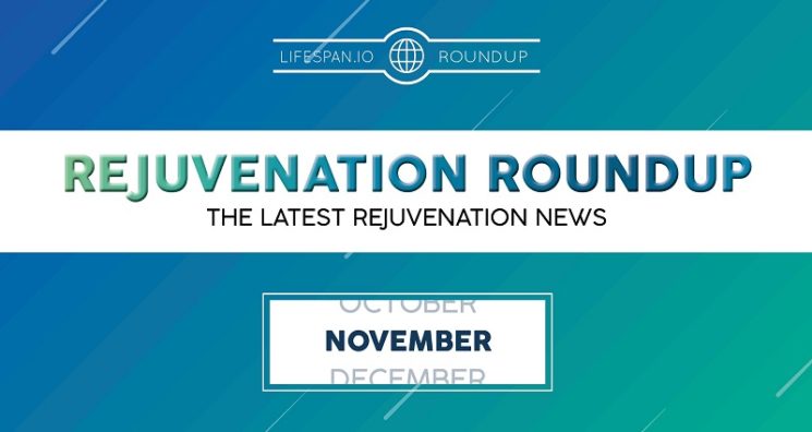 Rejuvenation Roundup November 2022