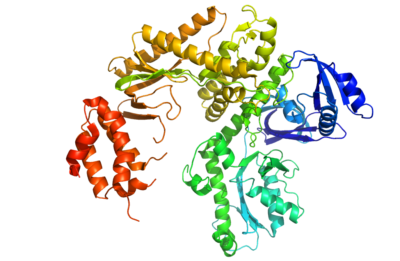 Image of a protein