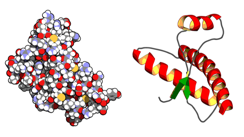CGI of protein structures