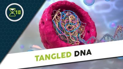 LifeXtenShow on tangled DNA