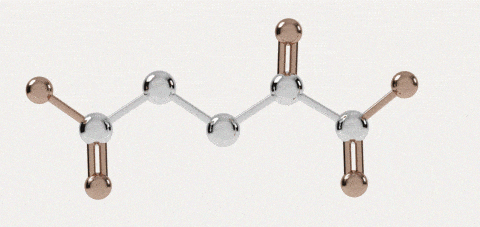 ketoglutarate lifespan