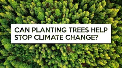 Science to Save the World on tree planting