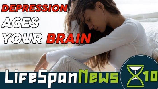 Lifespan News on depression and brain aging