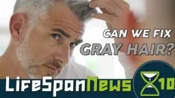 man with gray hair