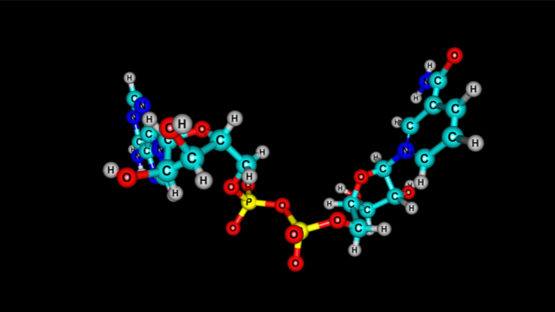 A depiction of NAD on a black background