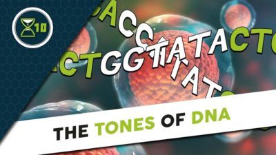 LifeXtenShow on the tones of DNA