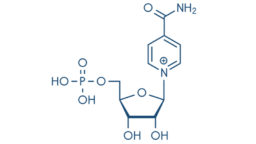 NMN molecule