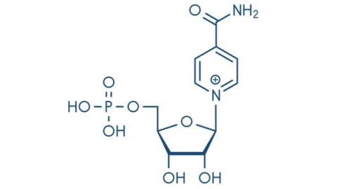 NMN is short for nicotinamide mononucleotide, a naturally occurring molecule present in all species. On the molecular level, it is a ribonucleotide, a basic structural unit of nucleic acid RNA.