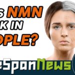 寿命新闻NMN能否