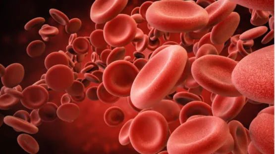 Blood cells