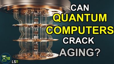 LSN Quantum Computers