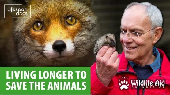 Lifespan Docs Save the Animals
