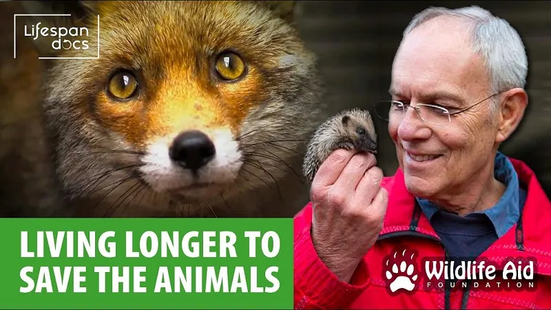 Lifespan Docs Save the Animals