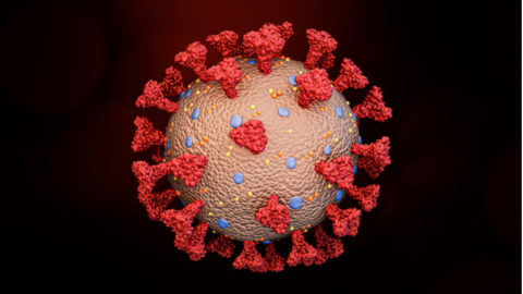 Red coronavirus