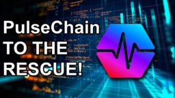 LSN Pulse Chain