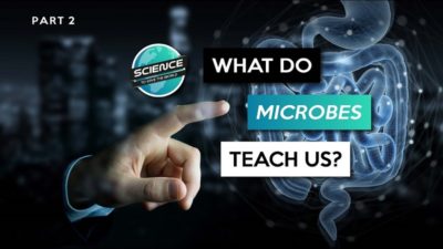 What can microbes teach us?