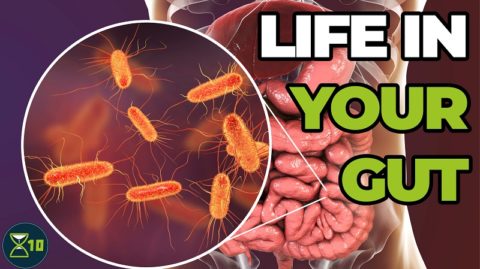 X10 Microbiome
