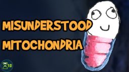 Misunderstood Mitochondria