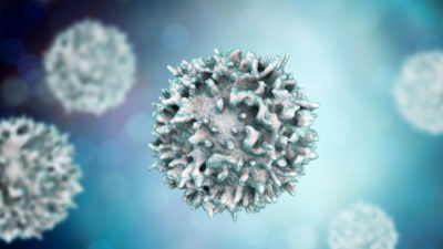 T cells are critical for fighting invading pathogens and keeping us healthy.
