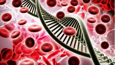 DNA Blood Cells