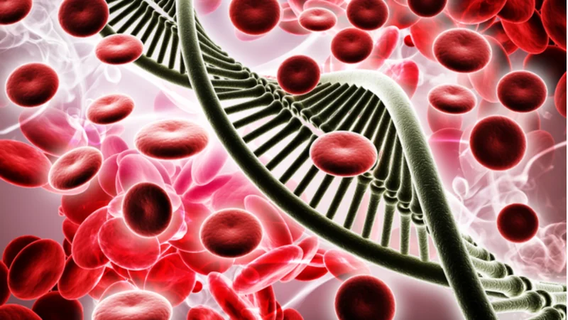 DNA Blood Cells