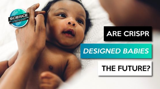 STSTW Designer Babies
