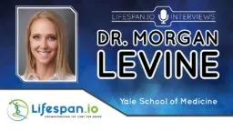 Levine Interview