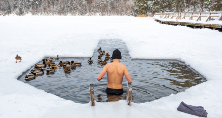 Reviewing Cold Therapy for Longevity