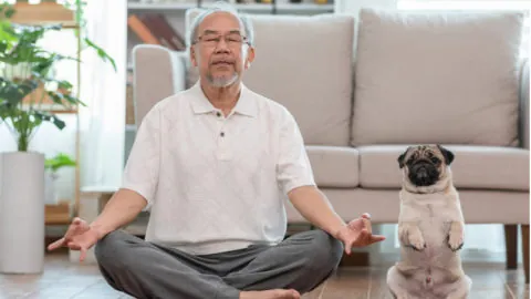 Meditation