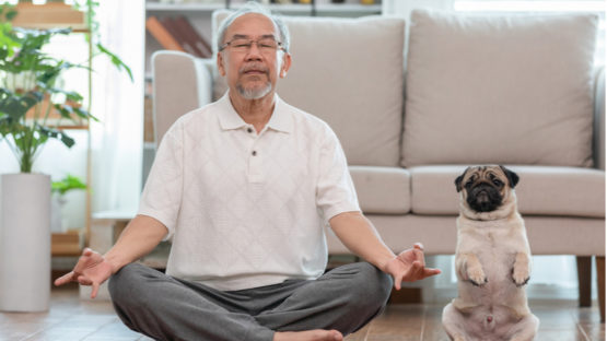 Meditation