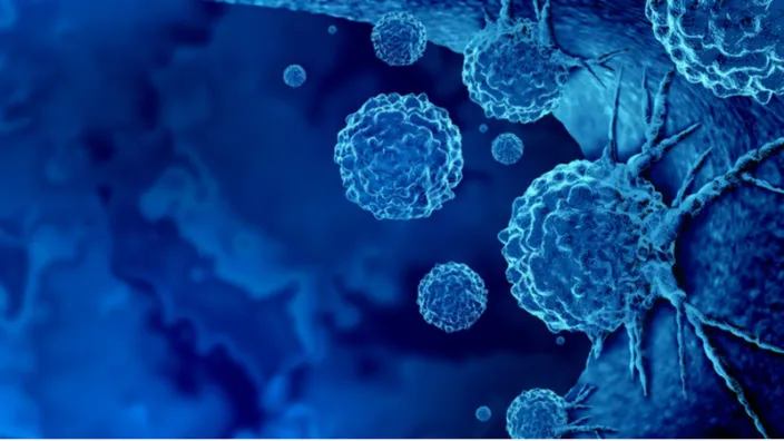 Cancer cells