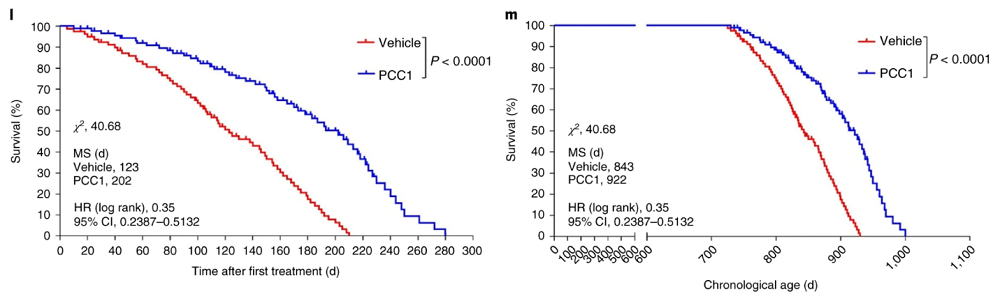 Lifespan of mice on a senomorphic compound