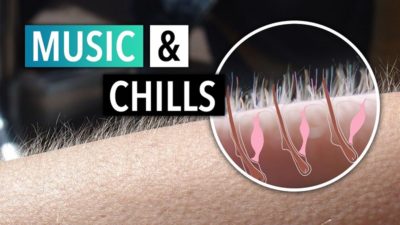 STSTW Music Chills