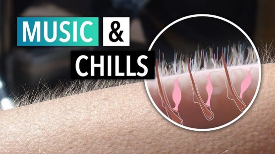 STSTW Music Chills