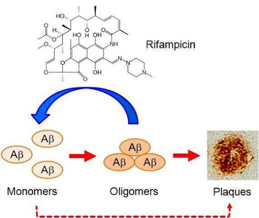 Rifampicin