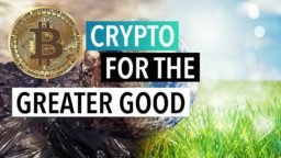 STSTW Crypto Good