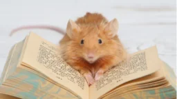 Smart mouse