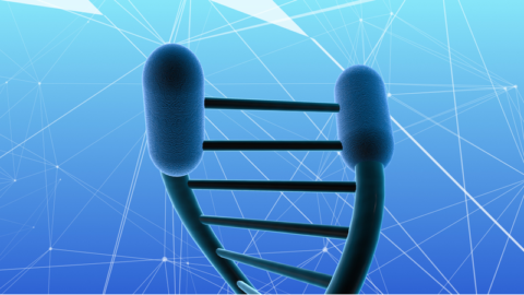 Telomeres