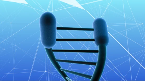 Telomeres