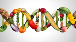 Food DNA