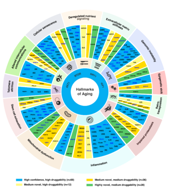 Aging Target Wheel