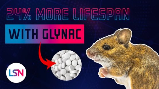LSN Glutathione