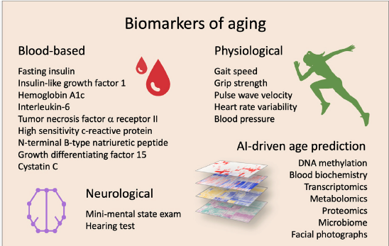 Clinical trials targeting aging