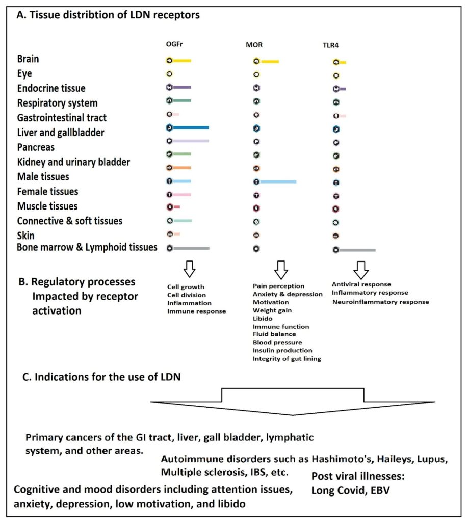 Low dose naltrexone benefits and side effects lifespan io
