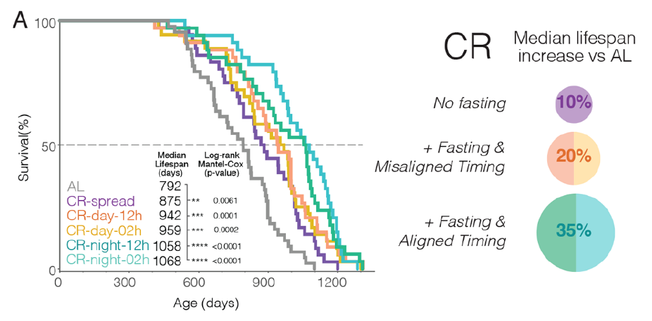 Caloric Restriction Results