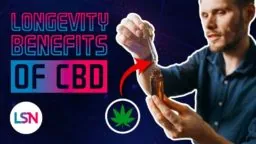 LSN CBD