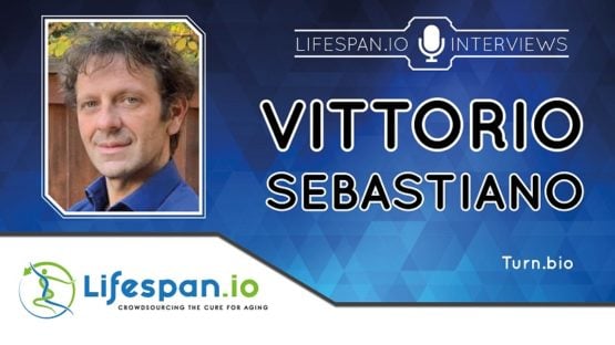 Vittorio Sebastiano