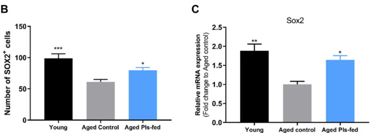 Plasmalogens 4
