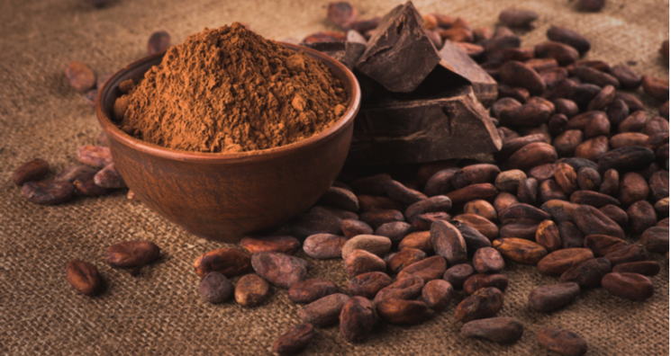 Cocoa Extract Reduces Cardiovascular Mortality